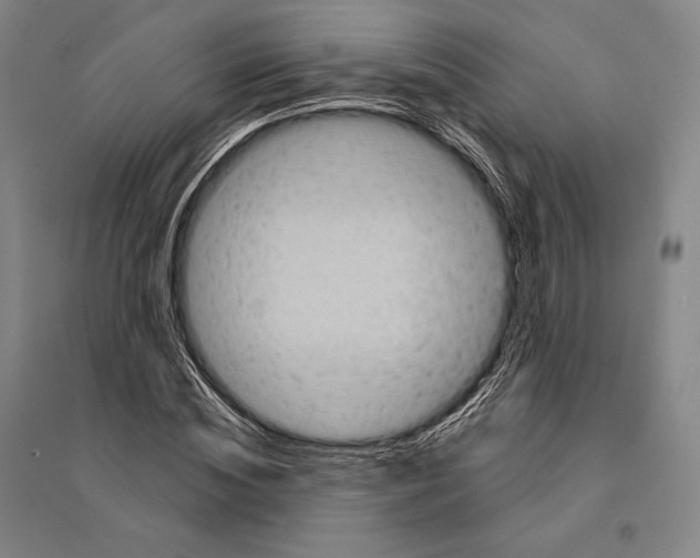 X0000095510828200801111411
