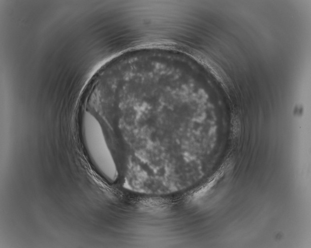 X0000095510830200801111411