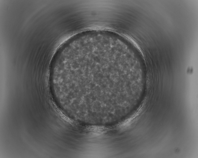 X0000095510831200801111411