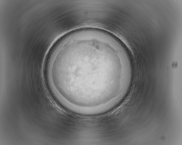X0000095510832200801111411