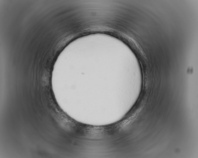 X0000095510833200801111411
