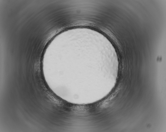 X0000095510834200801111411