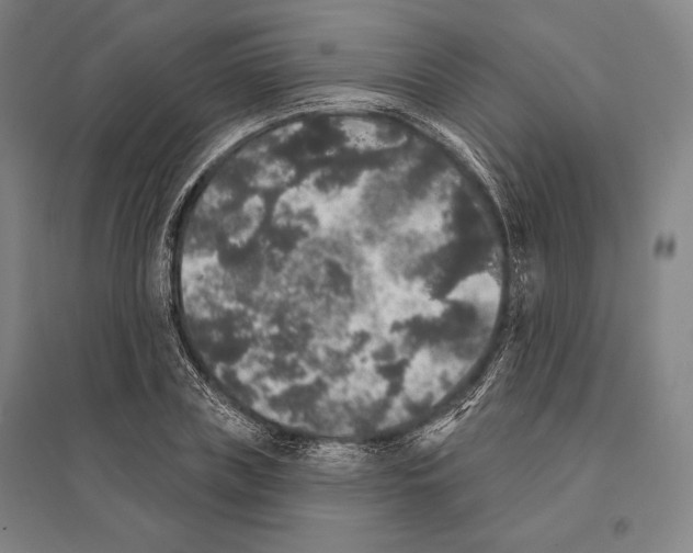 X0000095510835200801111411