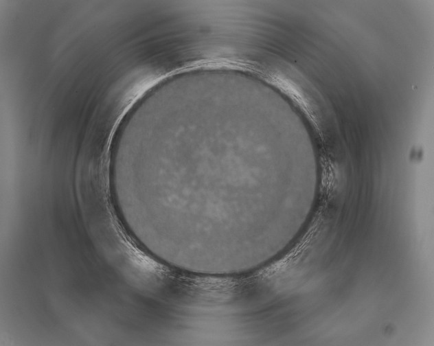 X0000095510836200801111411