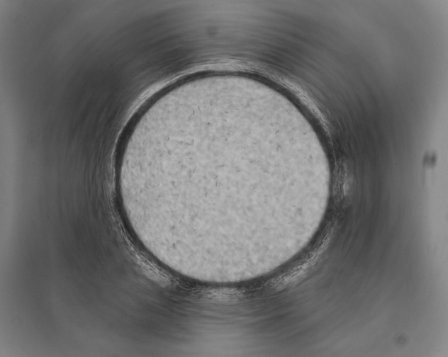 X0000095510837200801111411