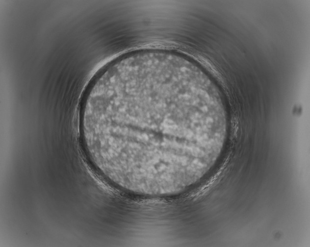 X0000095510838200801111411