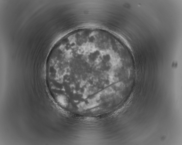 X0000095510839200801111411