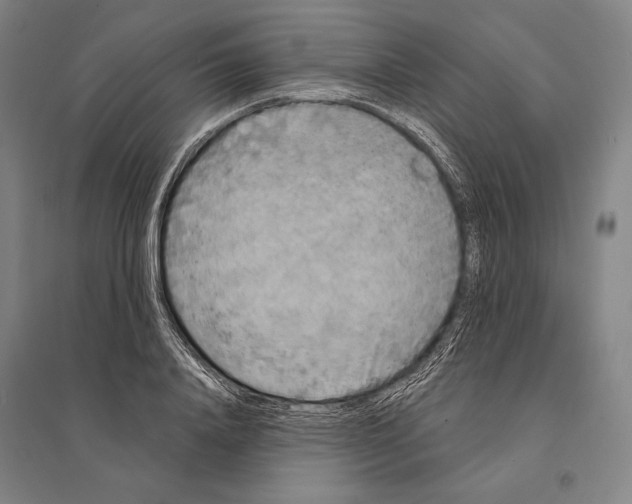 X0000095510840200801111411
