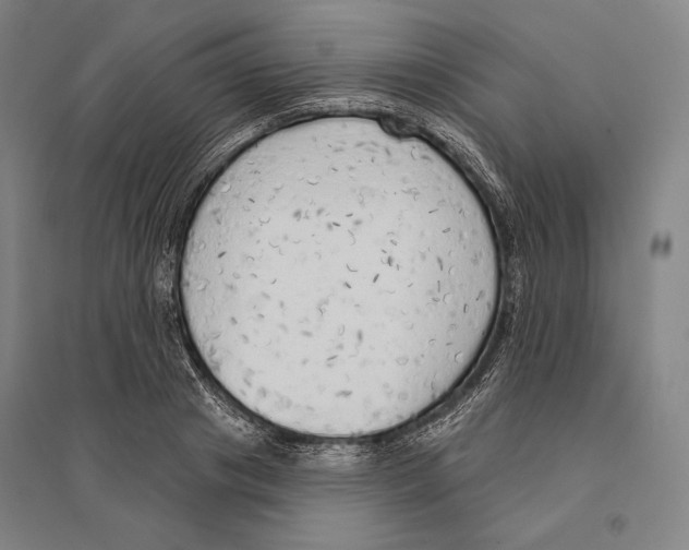 X0000095510841200801111411