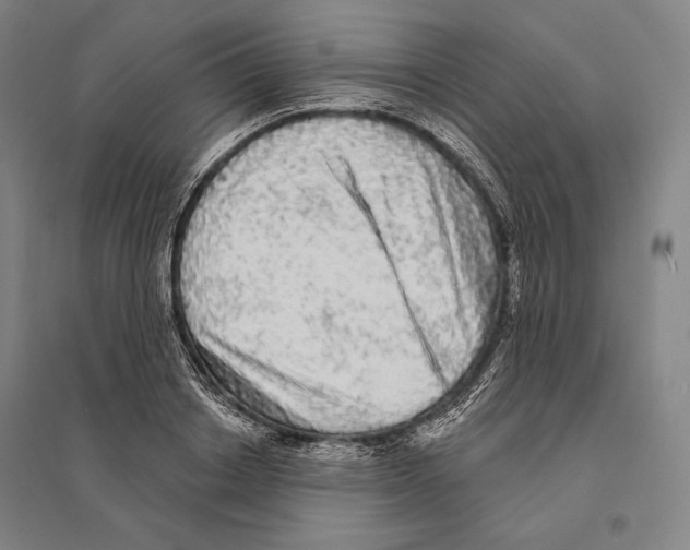 X0000095510842200801111411