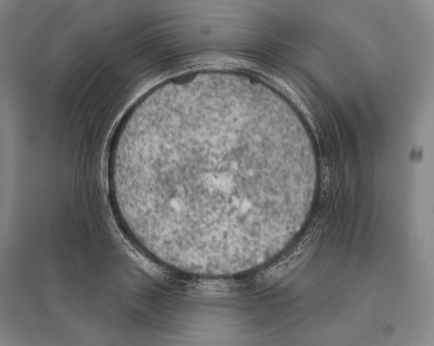 X0000095510843200801111411