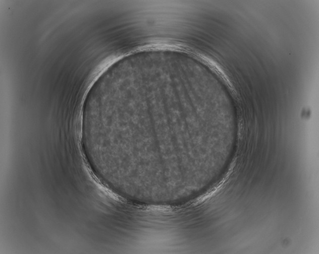 X0000095510844200801111411