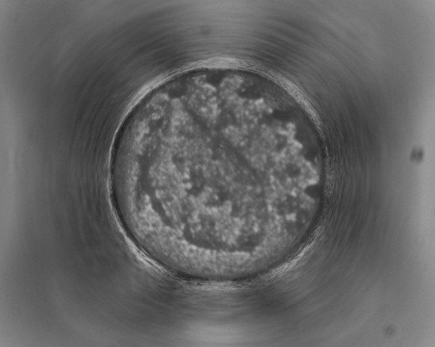 X0000095510845200801111411