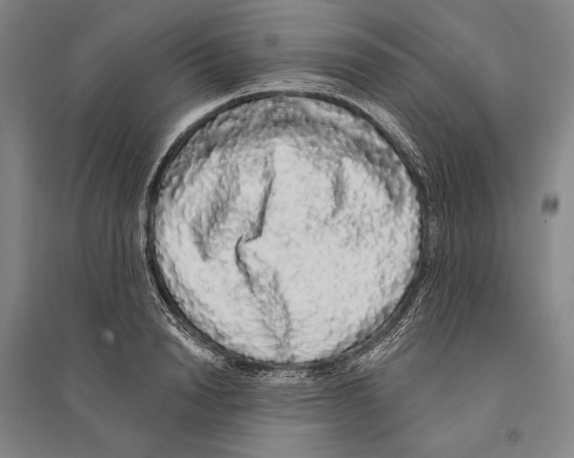 X0000095510846200801111411