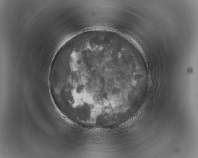 X0000095510847200801111411