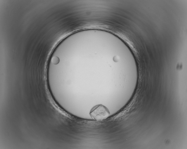 X0000095510848200801111411