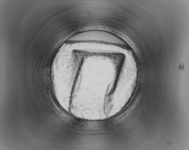 X0000095510849200801111411