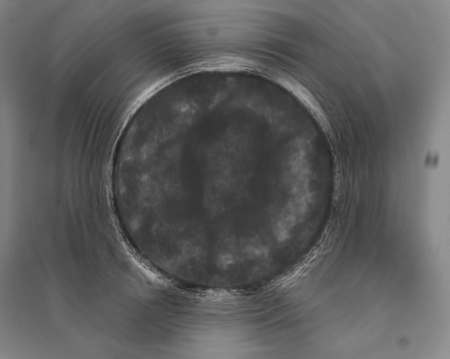 X0000095510850200801111411