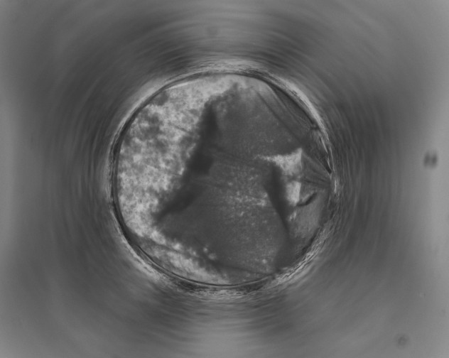 X0000095510851200801111411