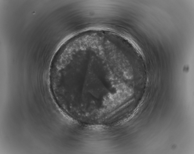 X0000095510853200801111411