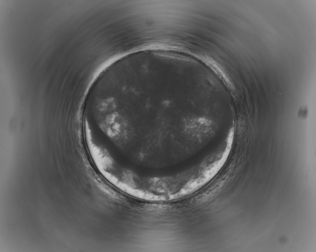 X0000095510854200801111411