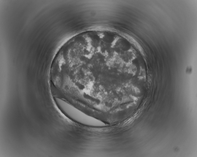 X0000095510855200801111411