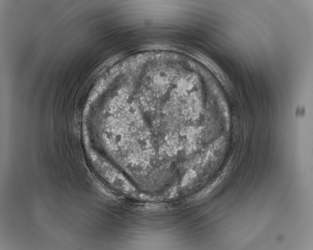 X0000095510857200801111411