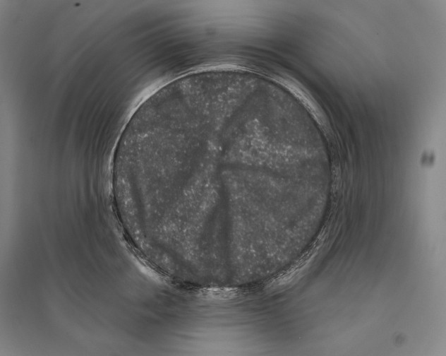 X0000095510858200801111411