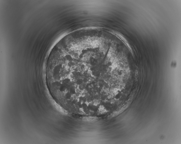 X0000095510859200801111411