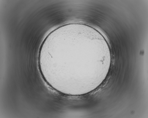 X0000095510861200801111411