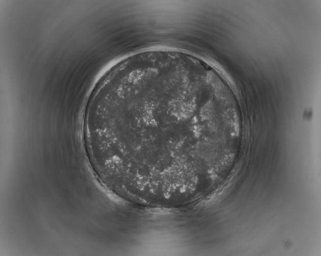 X0000095510862200801111411