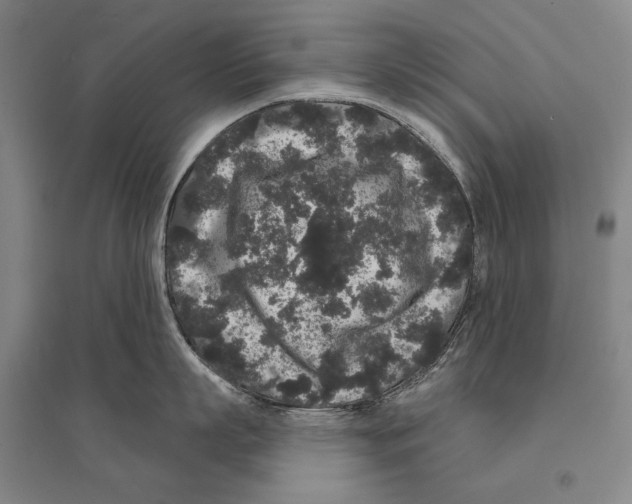 X0000095510863200801111411