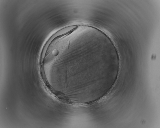 X0000095510864200801111411