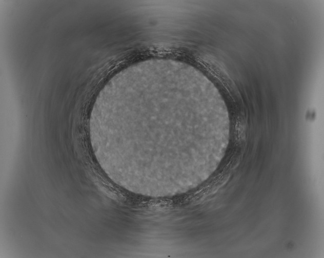 X0000095510865200801111411