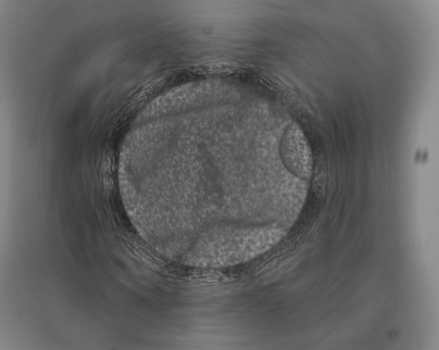 X0000095510866200801111411