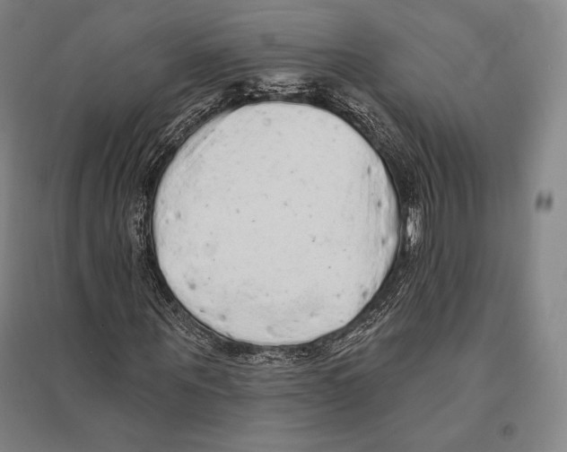 X0000095510867200801111411