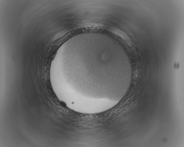 X0000095510869200801111411