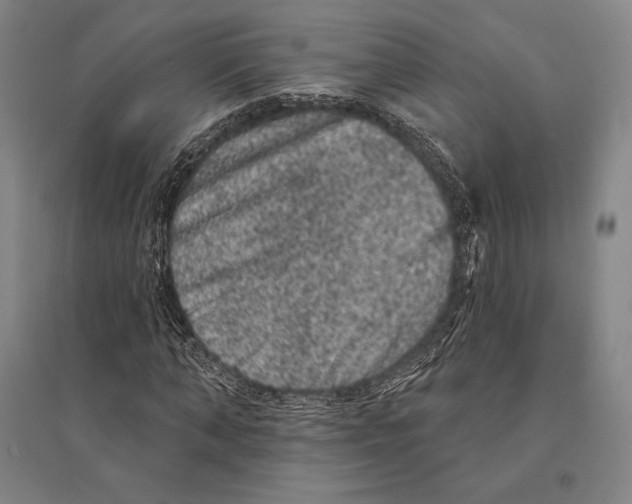X0000095510870200801111411