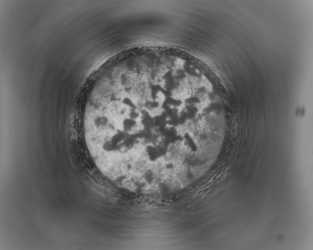 X0000095510871200801111411