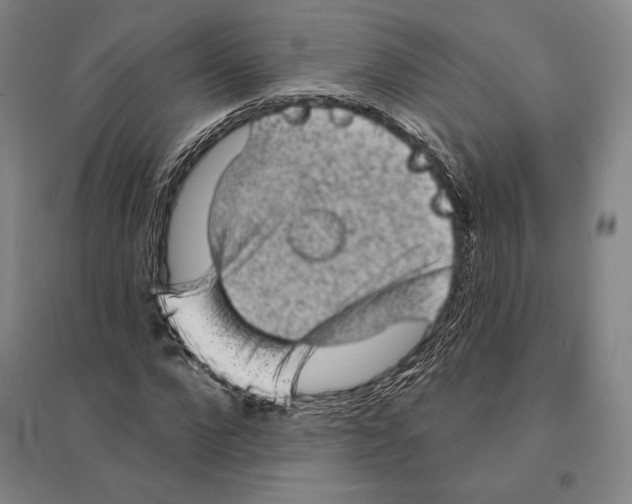 X0000095510872200801111411