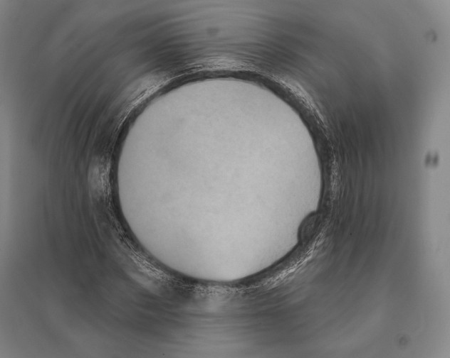 X0000095510873200801111411