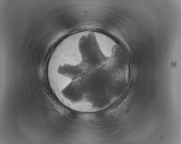 X0000095510874200801111411