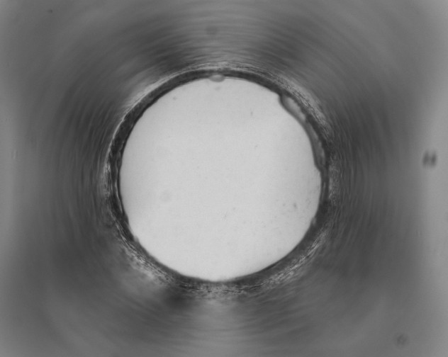 X0000095510876200801111411