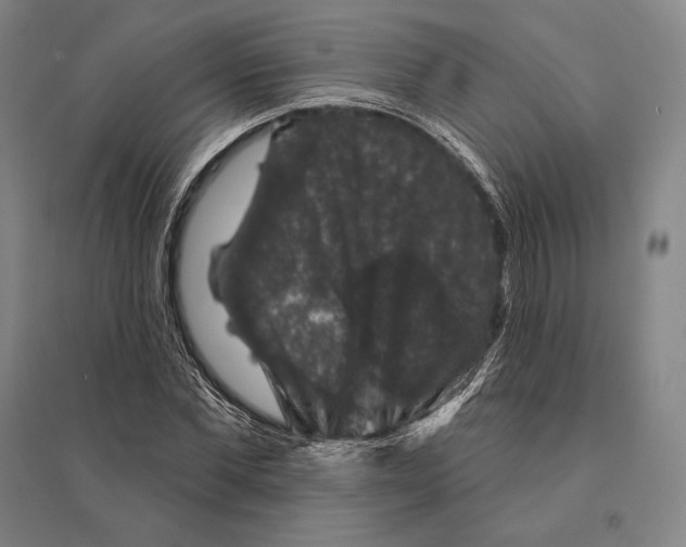 X0000095510877200801111411