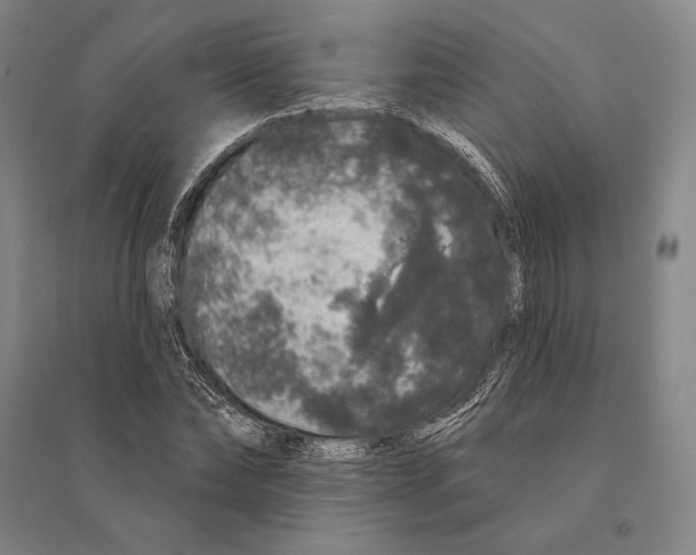 X0000095510878200801111411