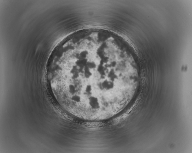X0000095510879200801111411