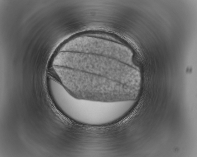 X0000095510880200801111411