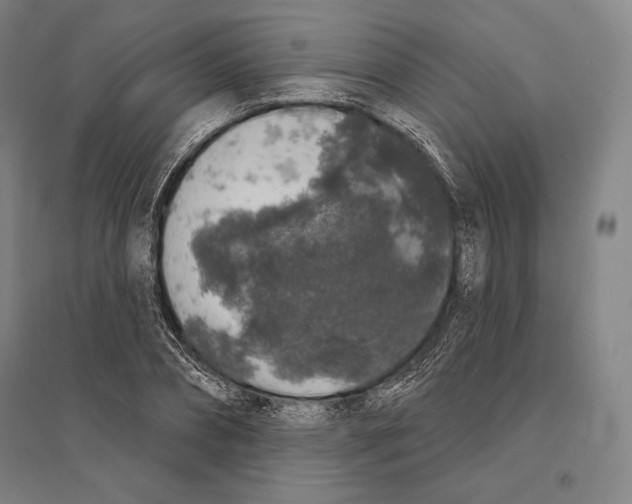 X0000095510882200801111411