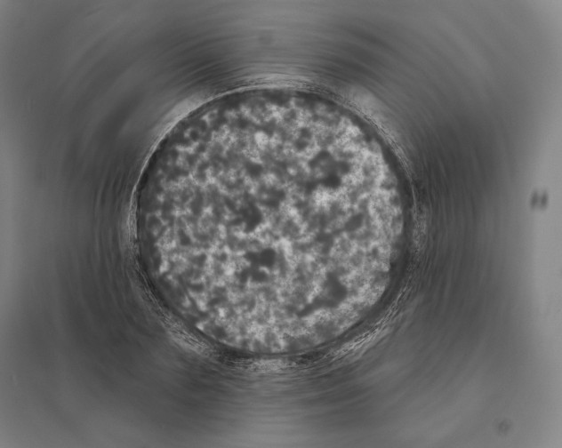 X0000095510883200801111411