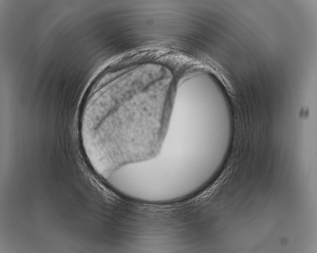 X0000095510884200801111411